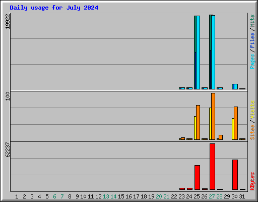 Daily usage for July 2024