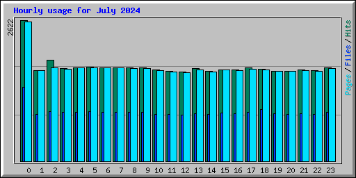 Hourly usage for July 2024